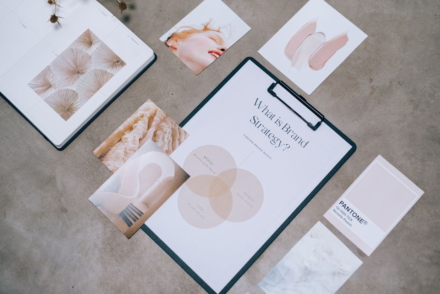 Portfolio Brand identity presentation boards laid out in a studio