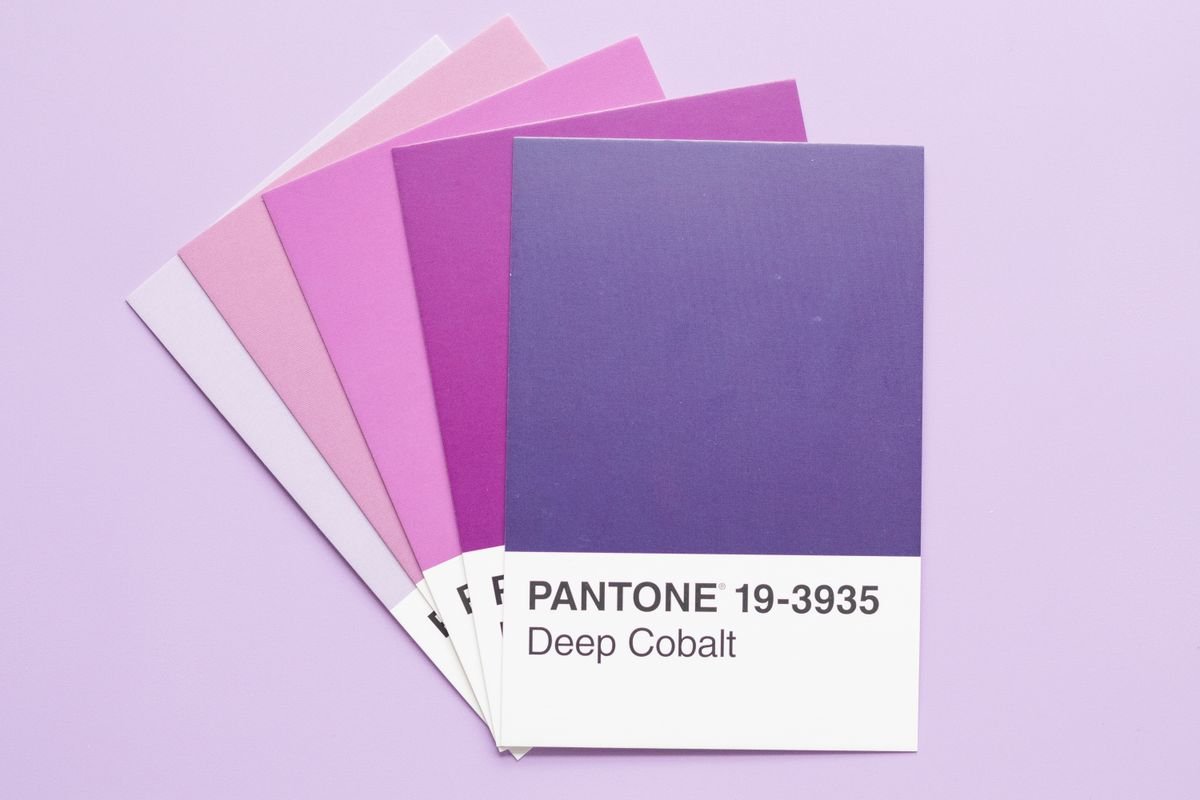 Brand colour palette swatch cards